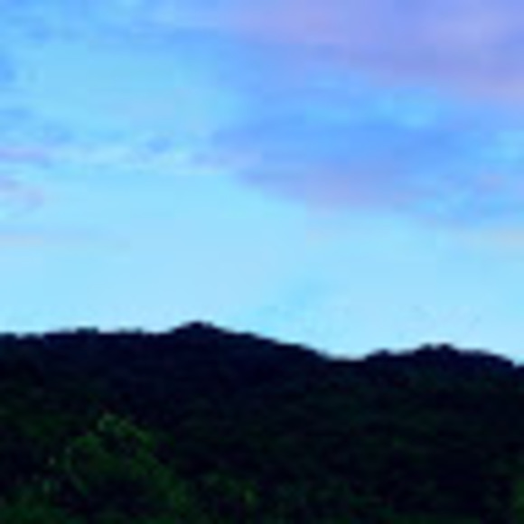 Meet your Posher, Thelitgeek - Picture 1 of 1